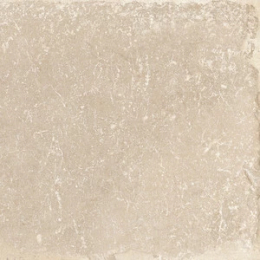 Cerdomus Fondinaturalegrip20X20  79515