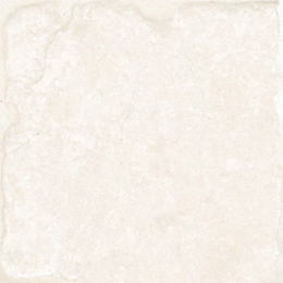 Cerdomus Fondinaturalegrip20X20  81459