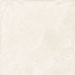 Cerdomus Fondinaturalegrip40X40  81461