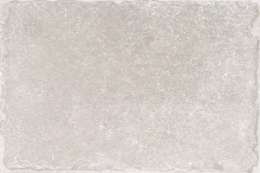 Cerdomus Fondinaturalegrip40X60  79513