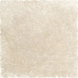 Cerdomus Fondinaturalegrip60X60  79519