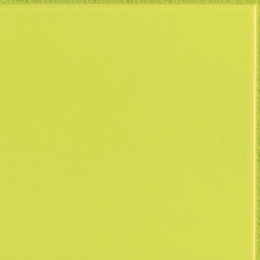 Sant'Agostino Flexi 2 Green Bri CSAFGR2B00