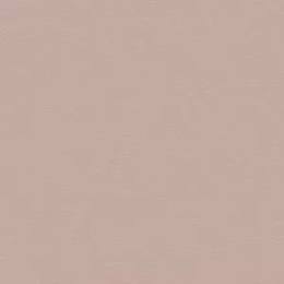 CESI 10X10-AGATA 5FB100100-530