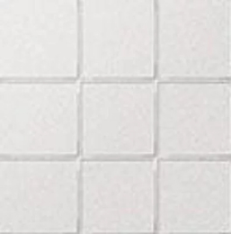 CESI 10X10 RETE-SALGEMMA 5LU100100RE-116