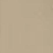 GRAZIA UNGHIA EST.3X3 CAPPUCCINO UIM300