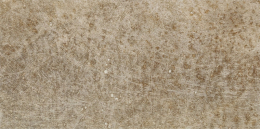 CIR TERRA D'ORMEGGIO 20X40 1067979