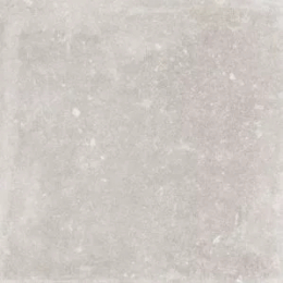 Kronos Evolution Greyge 2.0  EV012