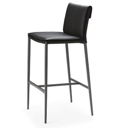 Chair Cattelan Italia Isabel Ml