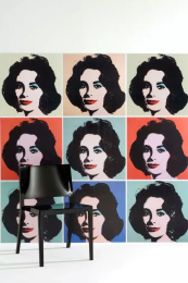 Chair Kartell Lizz/Lizz Mat