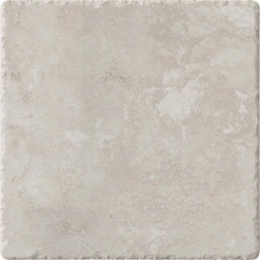 Cerdomus Fondinaturale20X20  31523