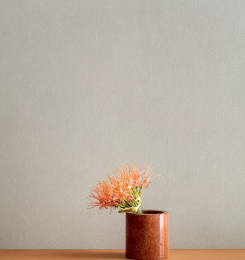 LEA MIST      PLS   5*500X1000X3,5 LSBPG06