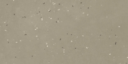 Mutina Primavera Grigio 120X240  XL-BOA52