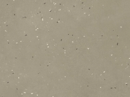 Mutina Primavera Grigio 60X60  BOA62