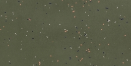 Mutina Primavera Verde 120X240  XL-BOA53