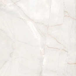 Cerdomus Fondinat.Rettificat60X60  65413