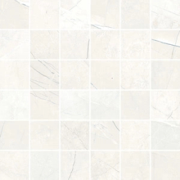 Cerdomus Mosaico30X30Ms000005  66411