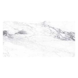 Ragno Incanto Paonazzetto Glossy Rettificato  R8SX