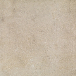 Ragno Jerusalem Noce Rt  R05A