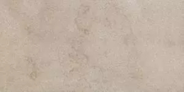 Ragno Jerusalem Noce Str Rt  R04Y