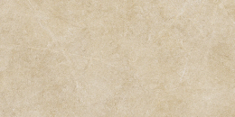 Ragno Argent Miele Ptv Rt  R9KY