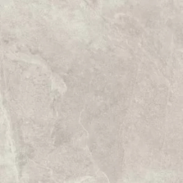 Ragno Slate Shell Rt  R5ZG