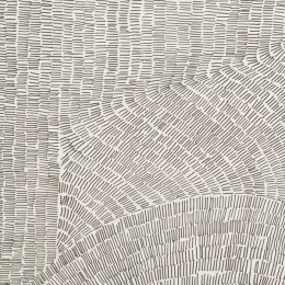 Refin Fossil Brown R. LT83