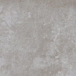 Refin Plant Ash R 60X60  LY36