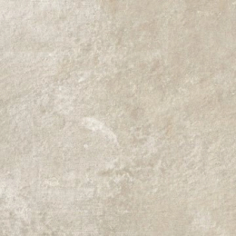 Refin Plant Clay R 60X60  LY21