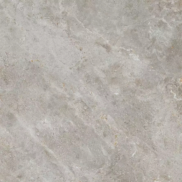 Refin Prestigio Fior Di Bosco Soft R 60X60  NL56