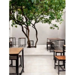 Ragno Roots White Str  R8MM