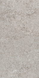 Florim Casa Dolce Casa Sensi Grey Fossil 40X80 Ret  768342