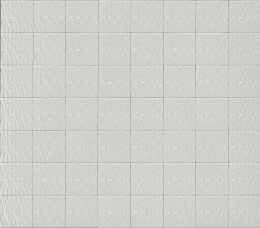 Ragno Sol Struttura Foglia Bianco Gl  R9RD