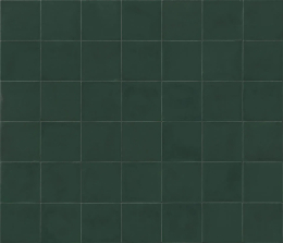 Ragno Sol Verde Glossy  R9QL