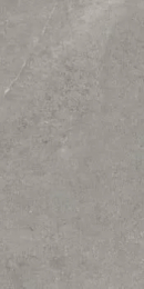 Imola Stcr_R36Ag_Rm  Silver 30X60