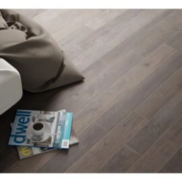 Cerdomus Gradone33X100  61747