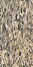 Imola Ghepard6_12Lp  White 60X120