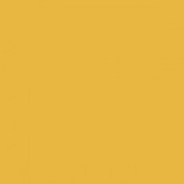 Ragno Unitech Giallo 200X200  R1NQ