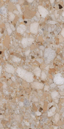 Sant'Agostino Venist.Gold 60120 CSAVEGLD60