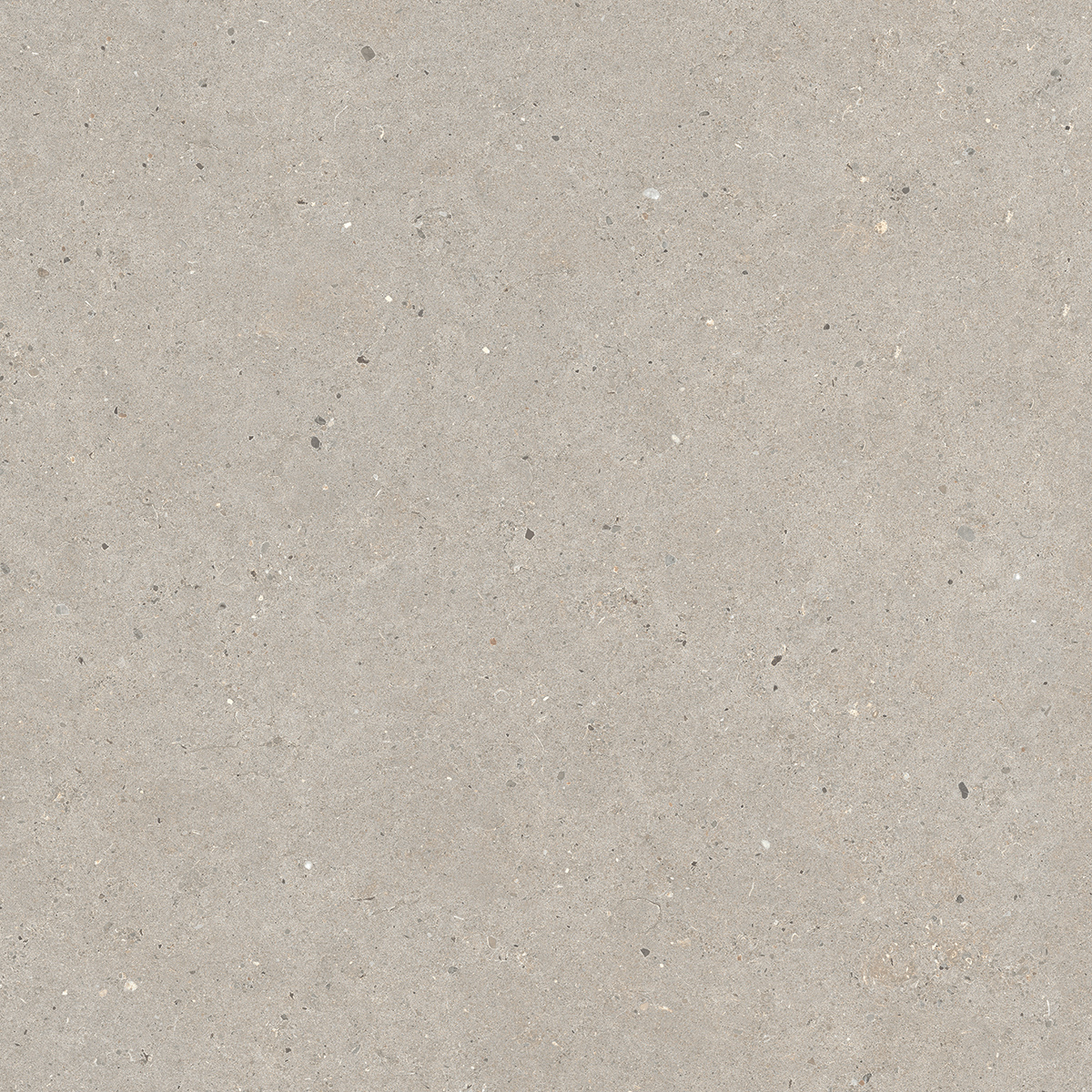 Italgraniti Silver Grain Taupe Antislip Sq. 60X60 SI0468A