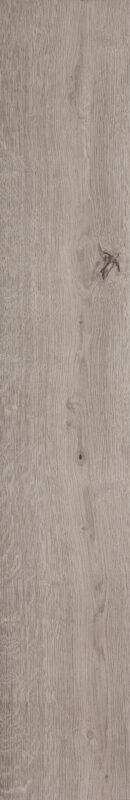 Ragno Grove Ombra Rt RA4Y