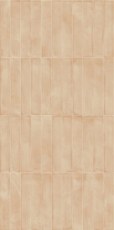 Ragno Amuri Biscotto RC8Q