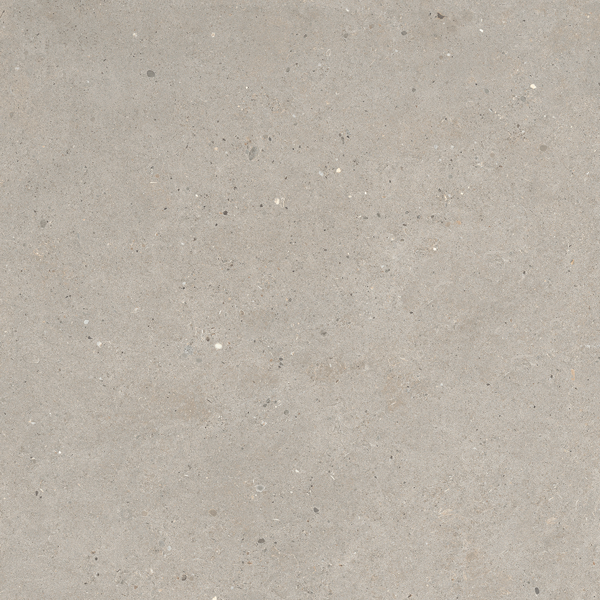 Italgraniti Silver Grain Taupe Antislip Sq. 60X60 SI0468A