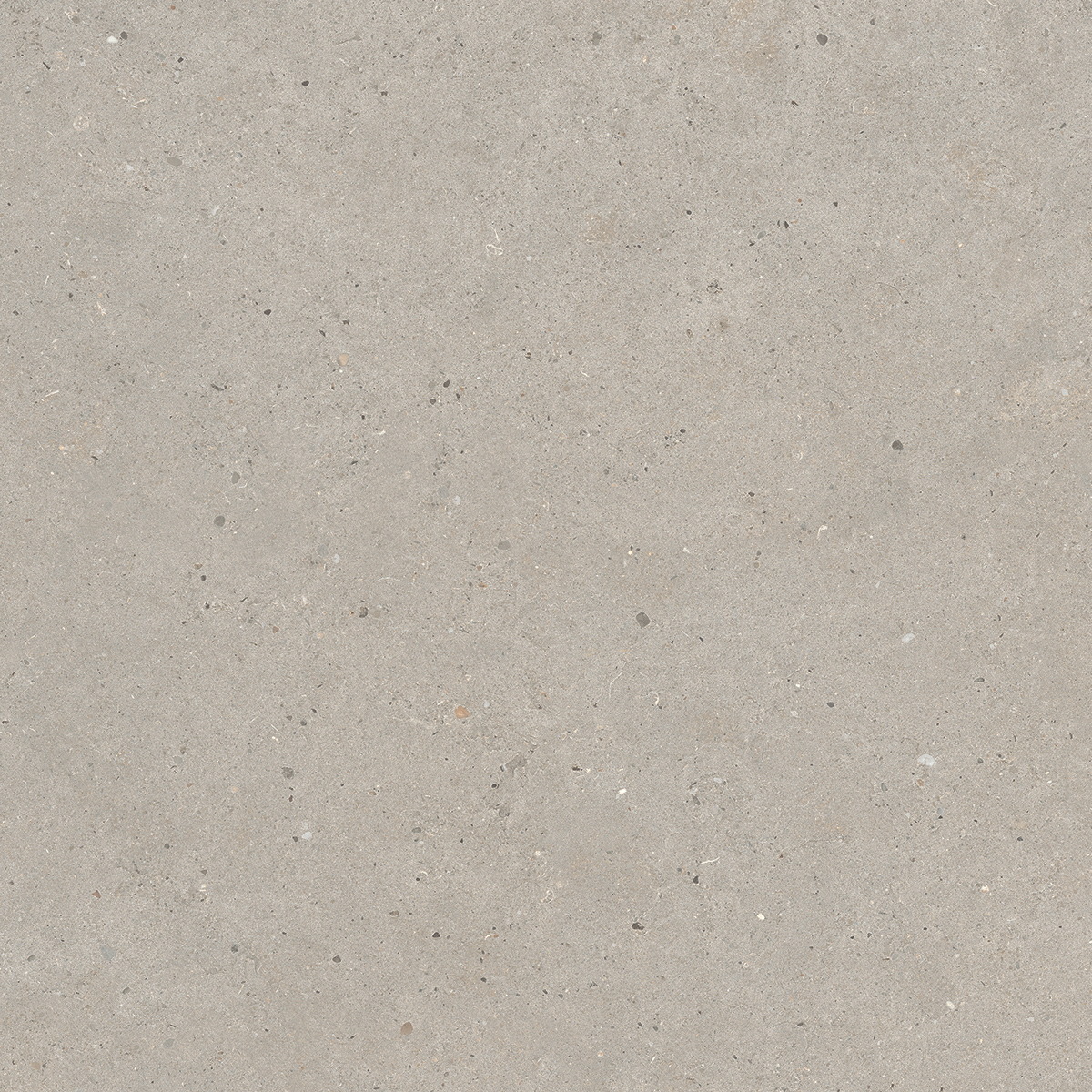 Italgraniti Silver Grain Taupe Antislip Sq. 60X60 SI0468A