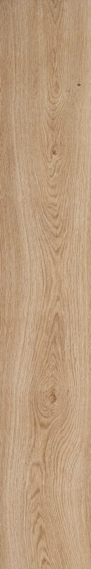 Ragno Grove Arbusto Rt RA4M