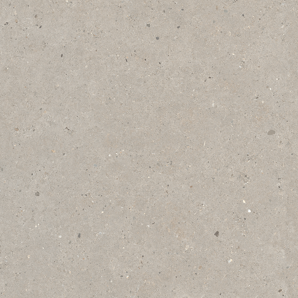 Italgraniti Silver Grain Taupe Antislip Sq. 60X60 SI0468A