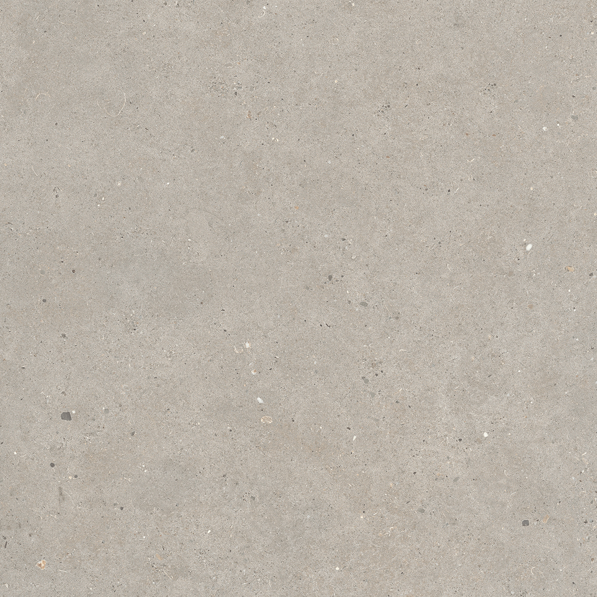 Italgraniti Silver Grain Taupe Antislip Sq. 60X60 SI0468A