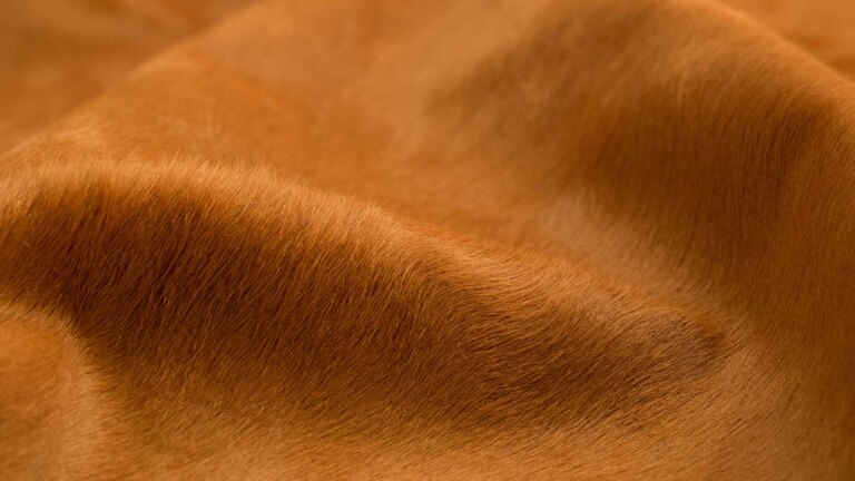 cms plugin media image