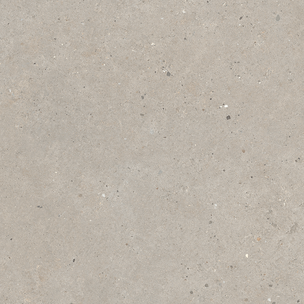 Italgraniti Silver Grain Taupe Antislip Sq. 60X60 SI0468A