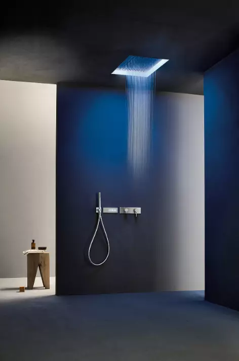 Showerhead Fantini K021