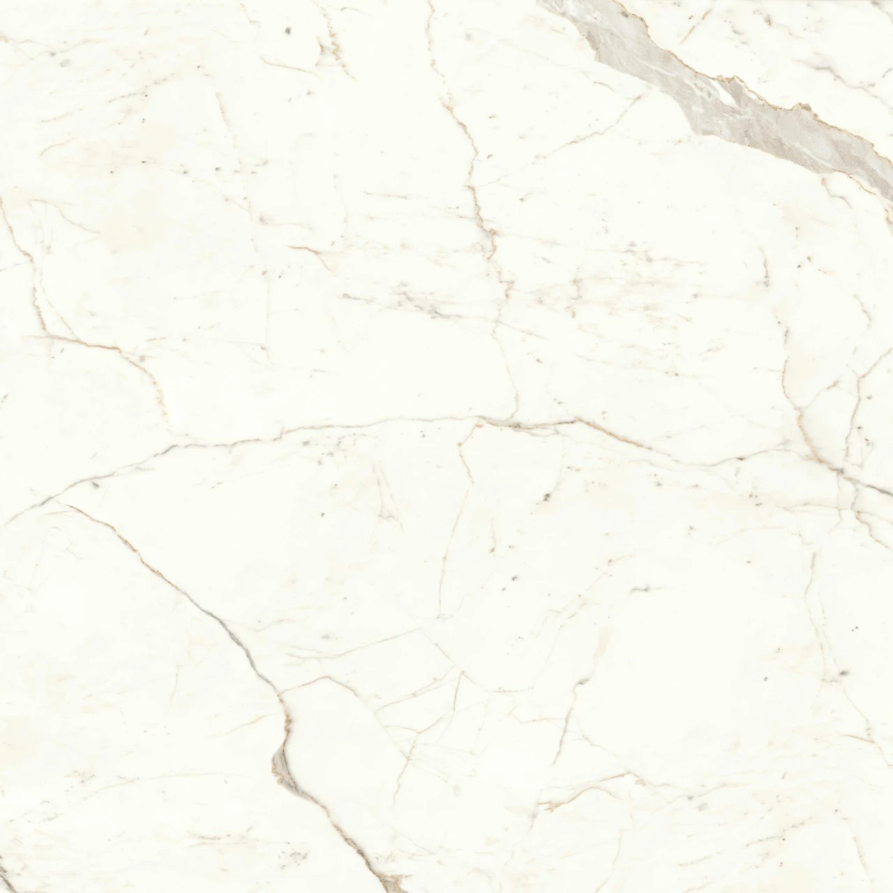 Atlas Concorde Marvel Calacatta Prestigio 160x160 Lapp. A4RP